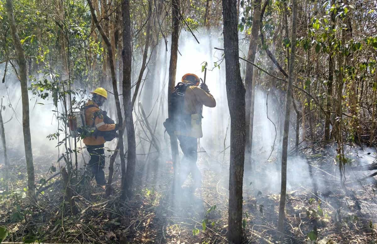 Bomberos refuerzan combate a incendio en Xpu-Há