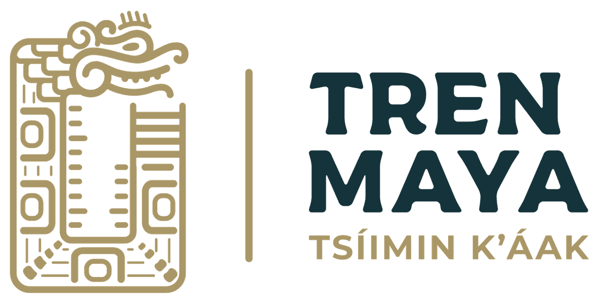 Mexicana y Tren Maya prevén ser rentables antes de 2032