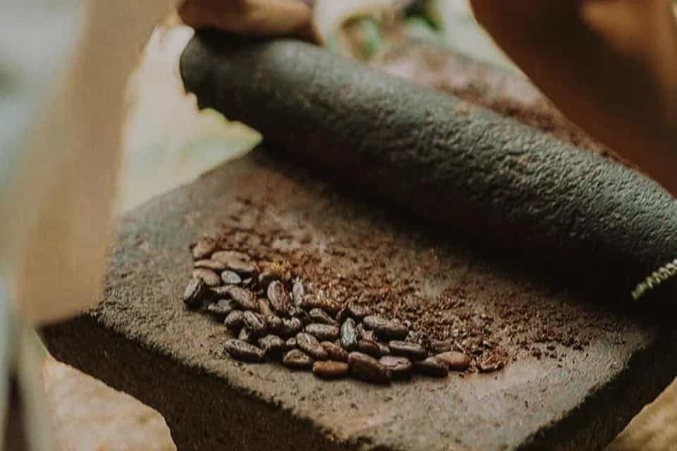 Ah Cacao celebra el legado del cacao mexicano al mundo en el Día Mundial del Cacao