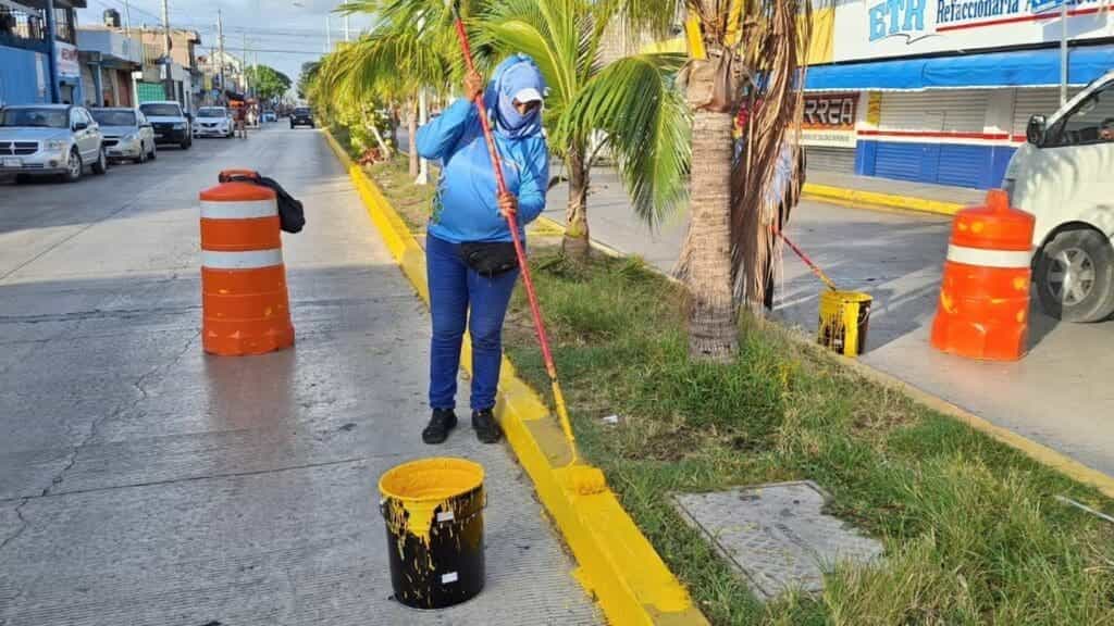 Gobierno de Solidaridad refuerza acciones de limpieza y reforestación