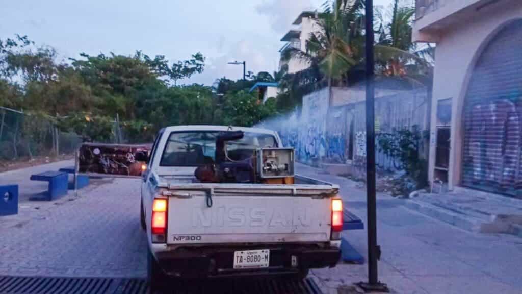 Solidaridad toma medidas de precaución contra el dengue