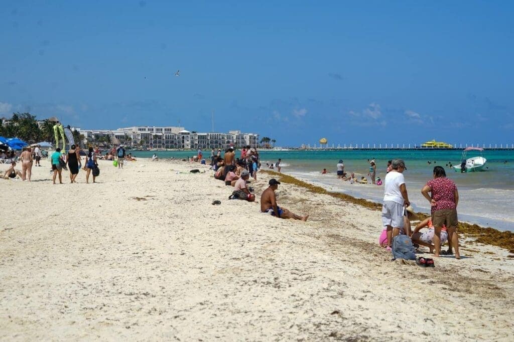 Conoce el termómetro del sargazo y disfruta de las playas