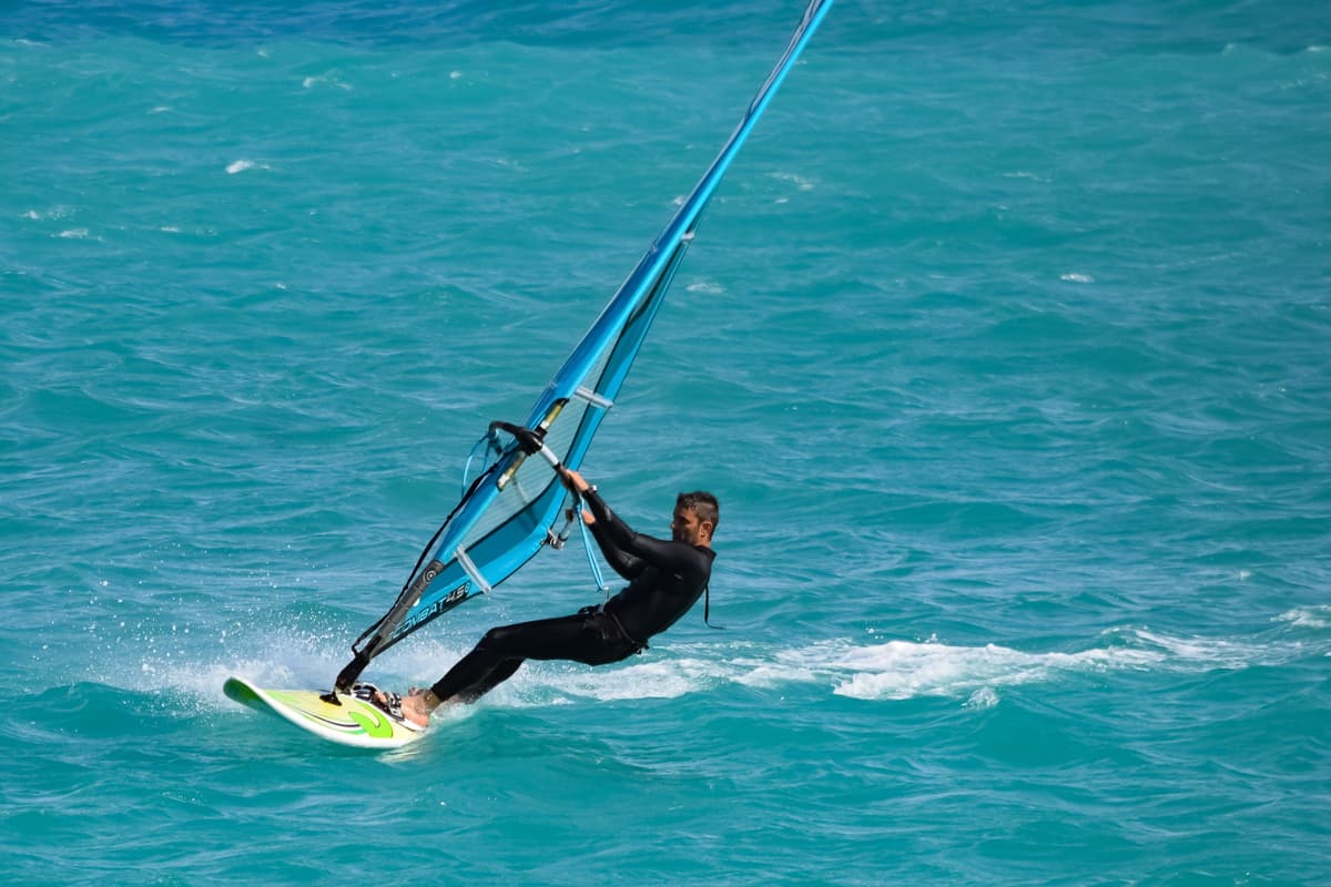En el mar, la vida es más activa