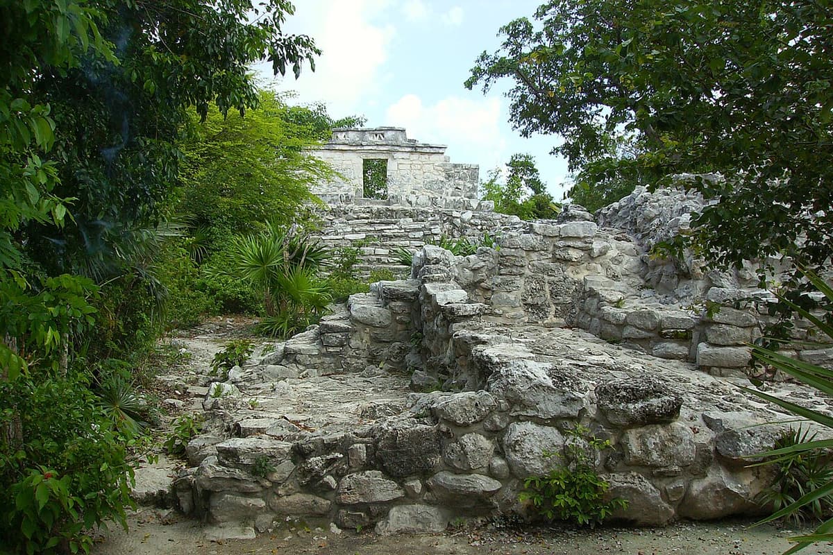 Ruinas mayas de piedra con vegetación selvática y estructura arquitectónica de fondo.