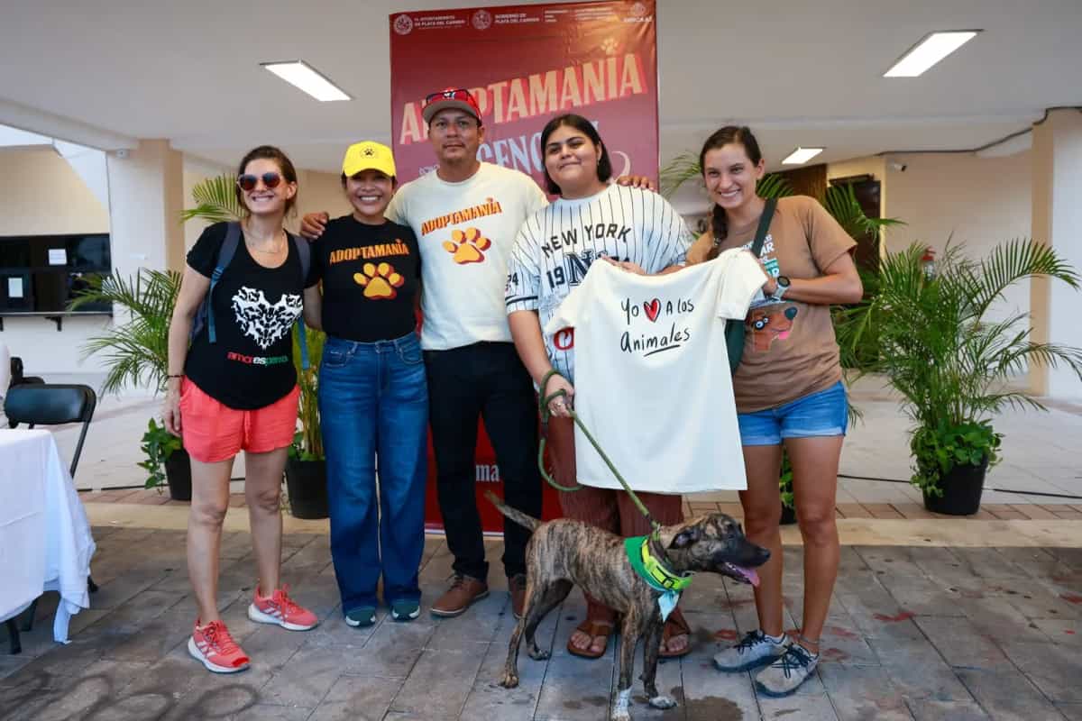Adoptamanía: Playa del Carmen busca hogares para perros rescatados