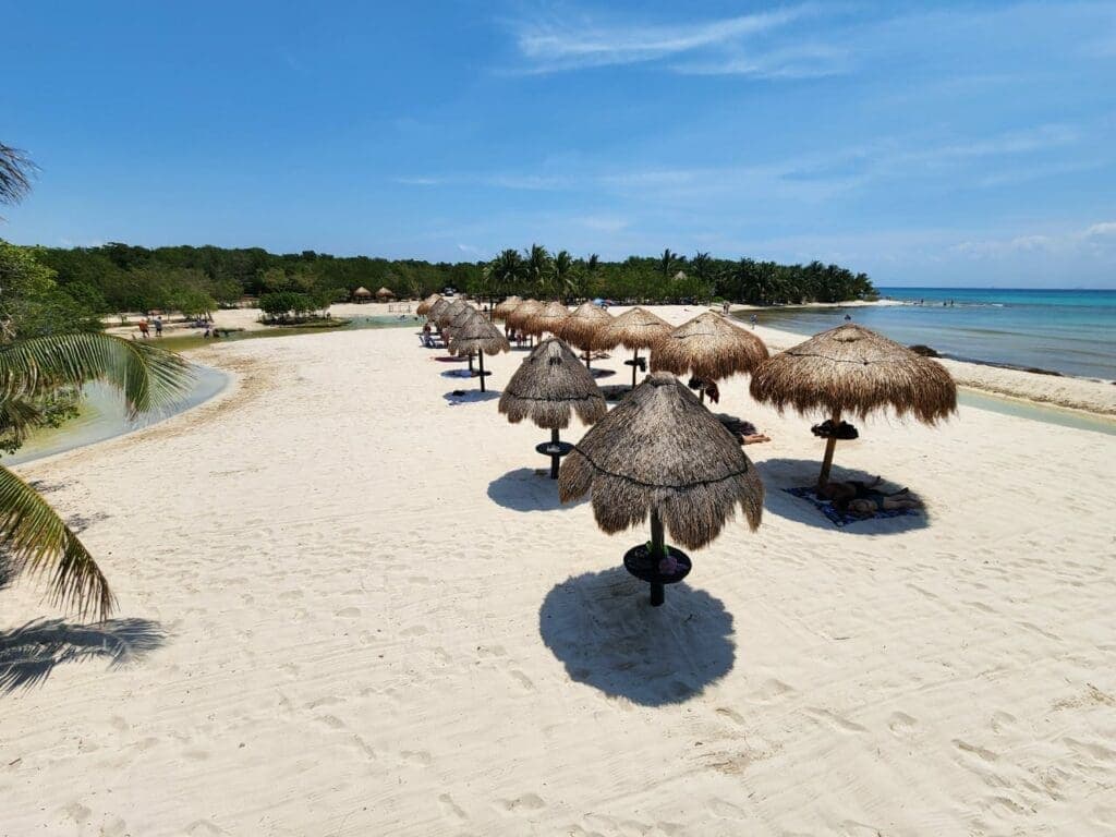 Costas limpias; van más de cinco mil toneladas de sargazo retiradas en Playa del Carmen en 2024