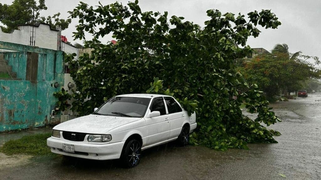 Galería de imágenes de Playa del Carmen después del paso del huracán Beryl