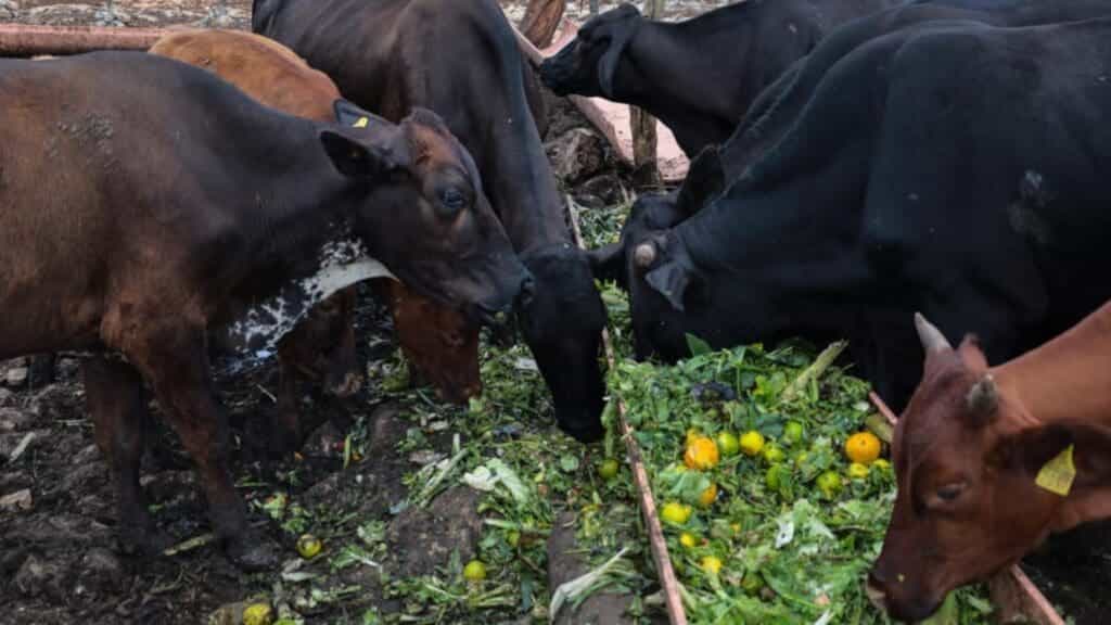 Gobierno de Estefanía Mercado fortalece el potencial del sector productivo de Playa del Carmen