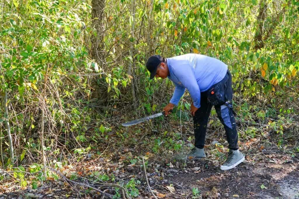 Invitan a no crear tiraderos en Playa del Carmen y reportarlos