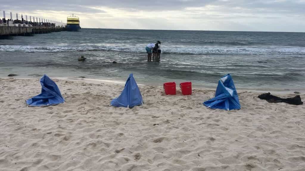 Retiran autoridades a argentinos que realizaban crioterapia en Playa del Carmen sin permisos