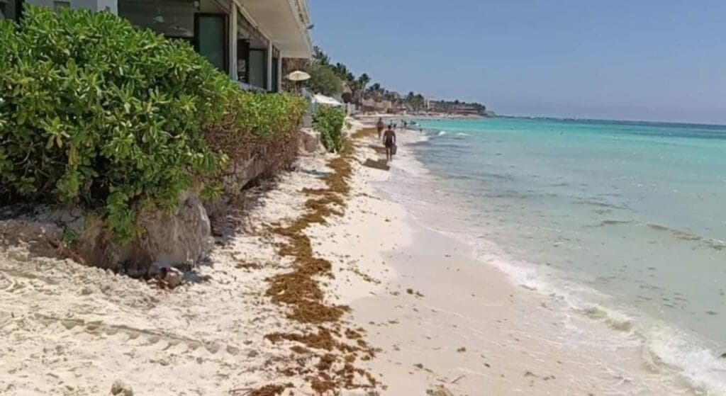 Supervisan autoridades de Playa del Carmen que obras del Hyatt no erosionen la costa