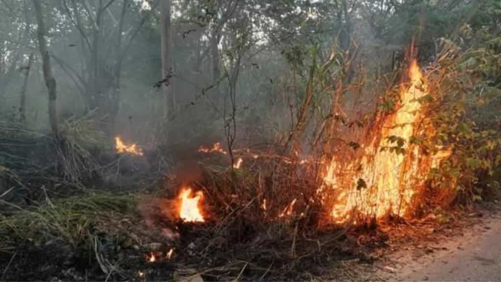 Van 40 reportes de incendios en Playa del Carmen en solo cuatro días